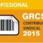 professional_2015